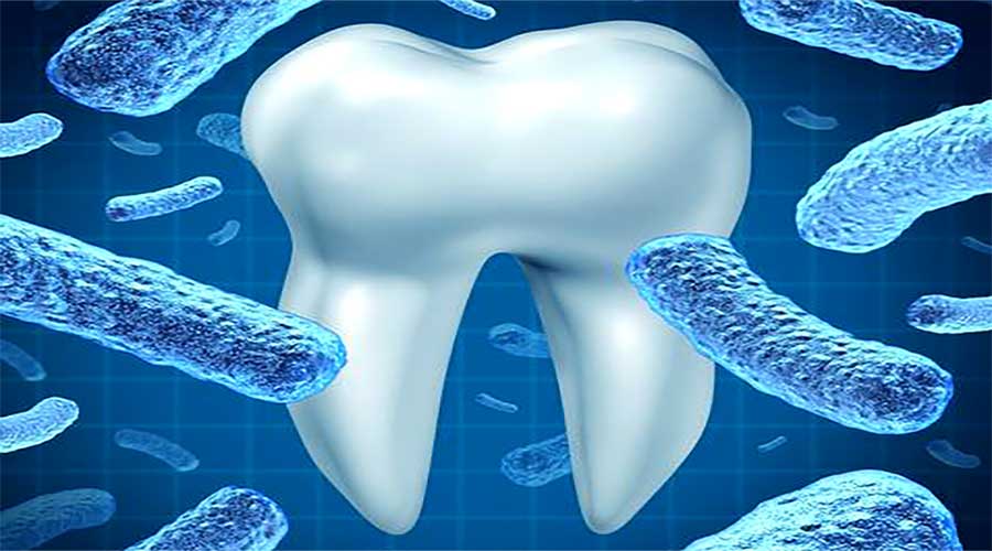 Oral Pathology 