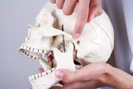 Online TMD Blog, Local TMJ Information & Online TMJ Treatment Chat